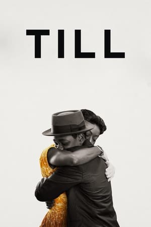 Till 2022 Hindi Dual Audio – 480p